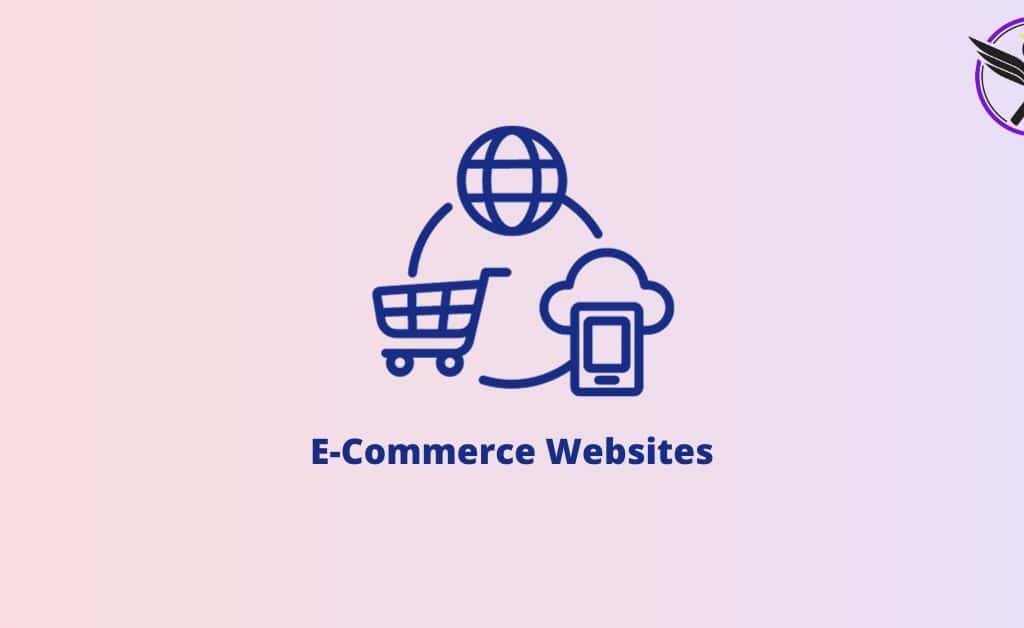 E Commerce Website Kya Hai : How To Design E Commerce Website In Hindi